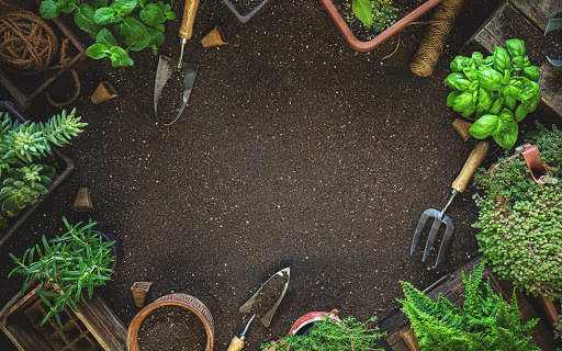 Herbs